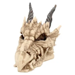 Drachenschädel-Aufbewahrungsbox