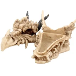 Drachenschädel-Aufbewahrungsbox