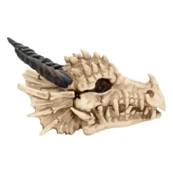 Drachenschädel-Aufbewahrungsbox