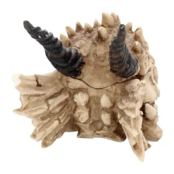 Drachenschädel-Aufbewahrungsbox