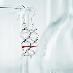 Geek Gem DNS-Ohrringe