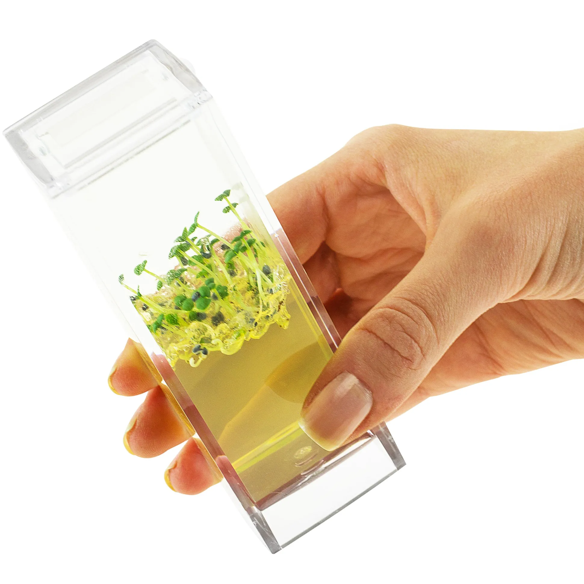 Plantarium Garden Lab