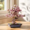 Sakura Bonsai Holzbausatz